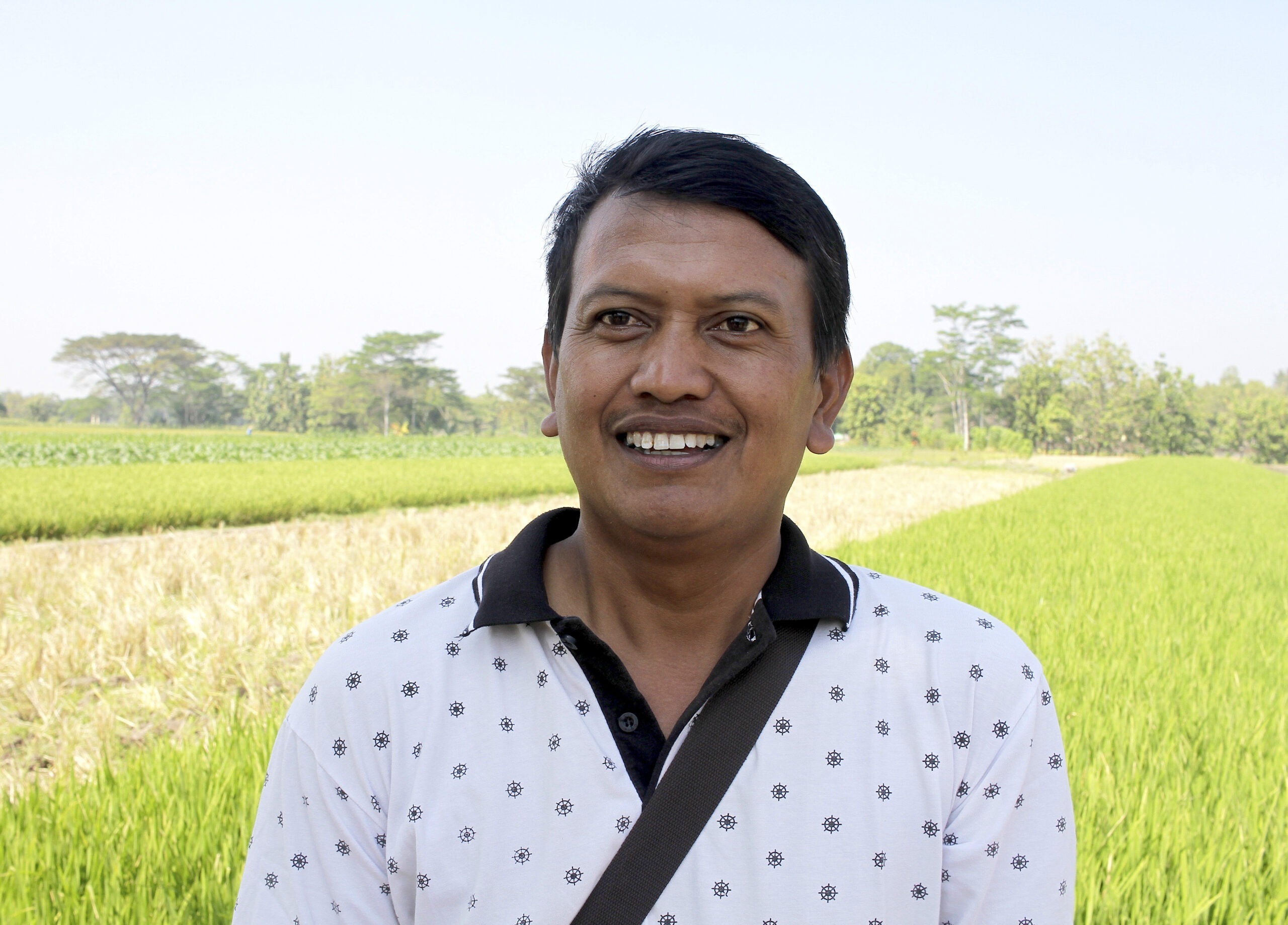 Mastering Sustainable Rice: Continuing Education'S Role - bhvthgd