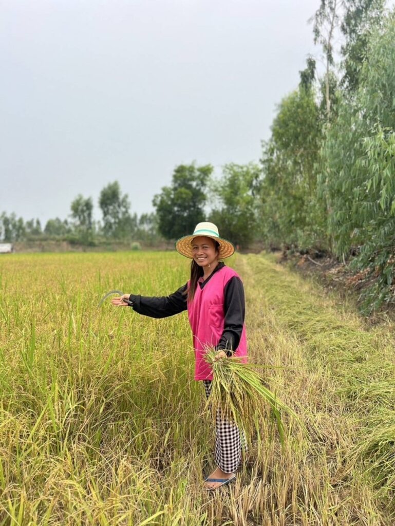 Rice farmer in her rice field. 