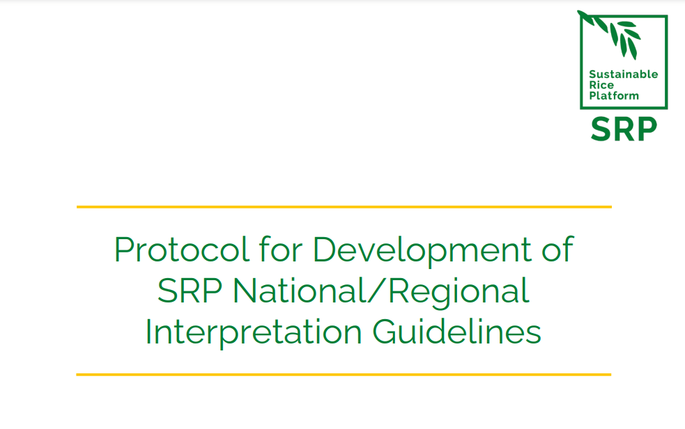 Protocol for Development of National Interpretation Guidelines for the SRP Standard